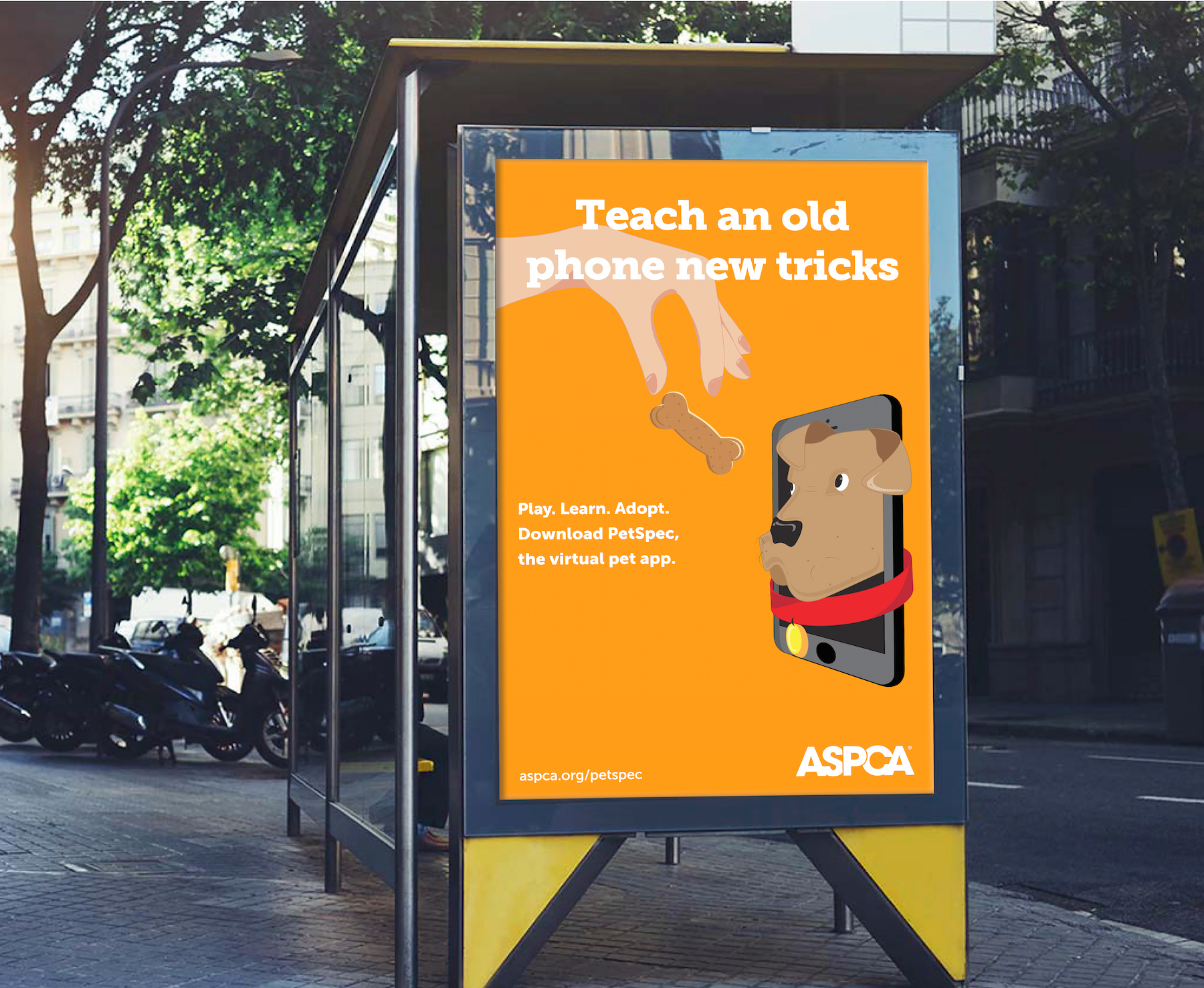 ASPCA Advertising Campaign