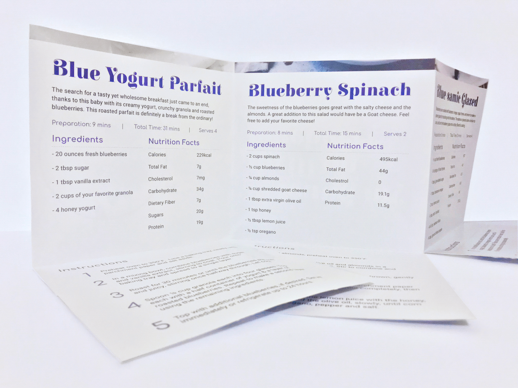 Blueberry Recipe Book - 6pg Fold