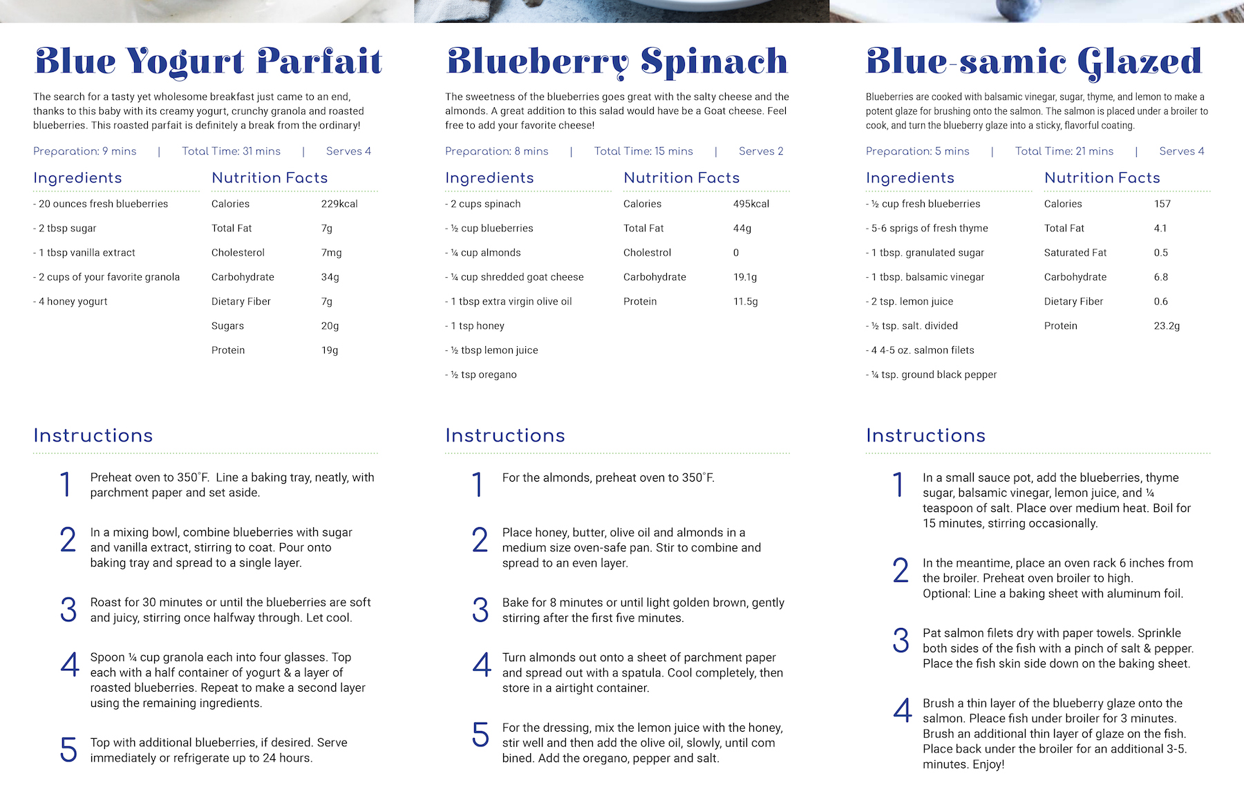 Blueberry Recipe Book - 6pg Fold